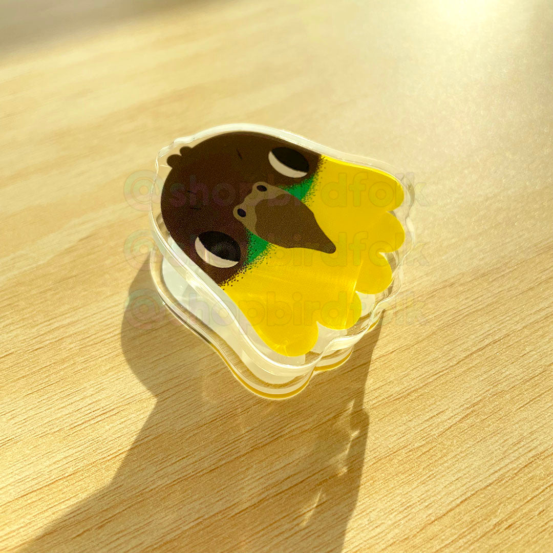 Black-headed Caique Acrylic Clip