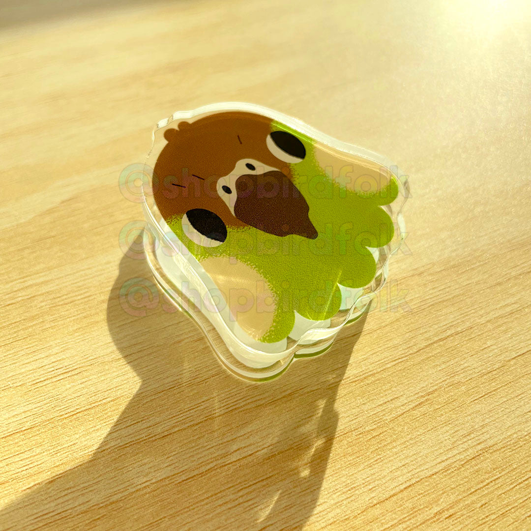 Green-cheek Acrylic Clip
