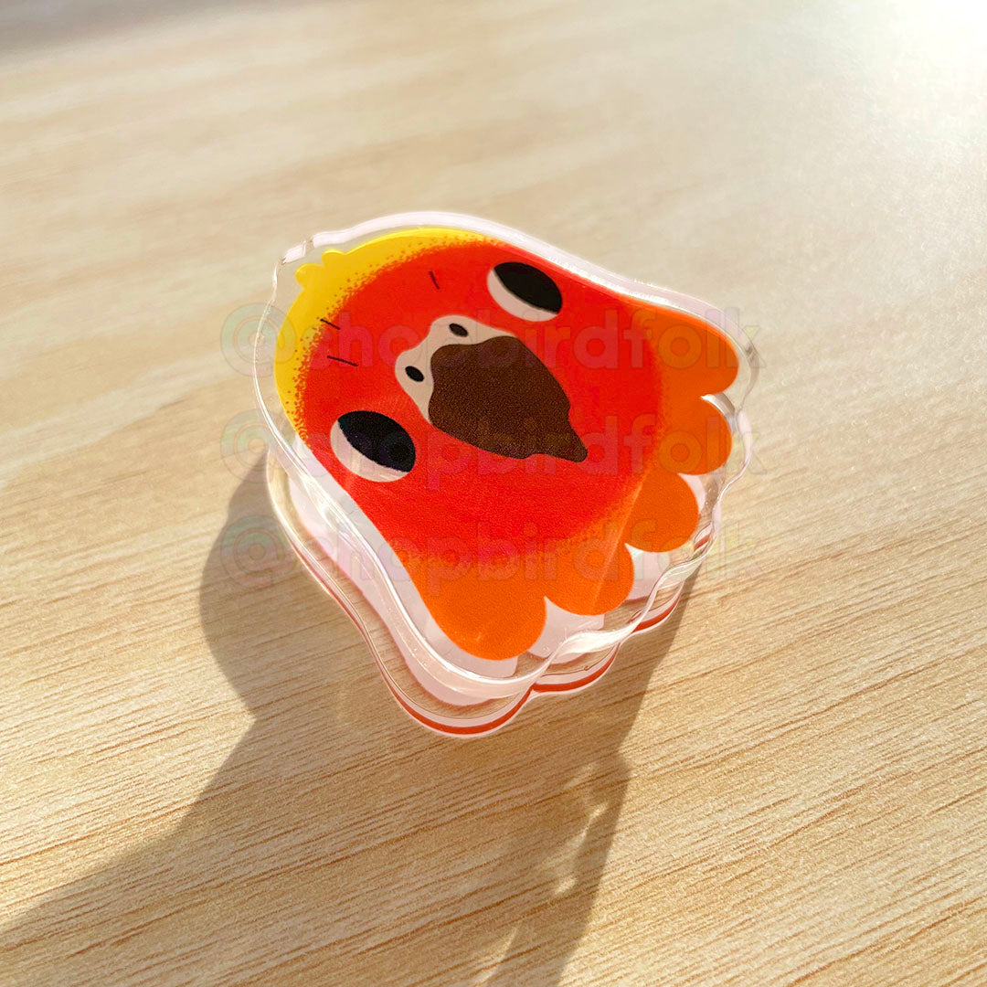 Sun Conure Acrylic Clip