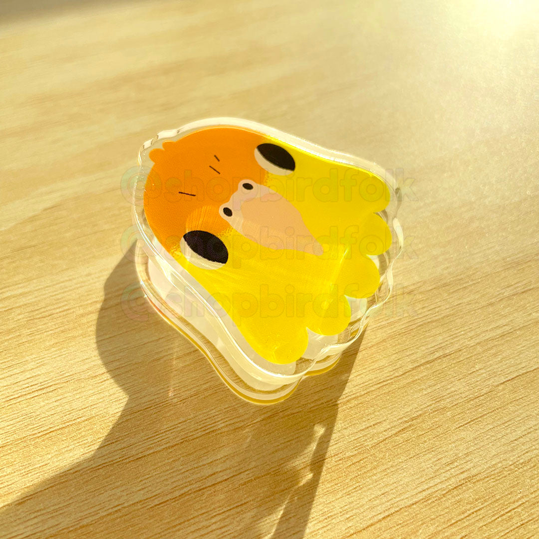 White-bellied Caique Acrylic Clip