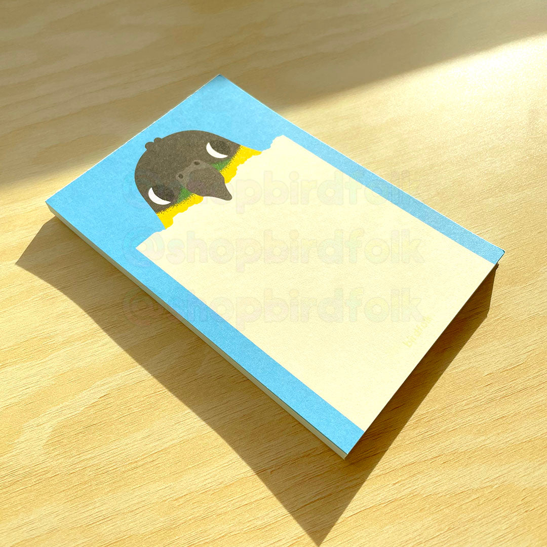 Black-headed Caique Notepad