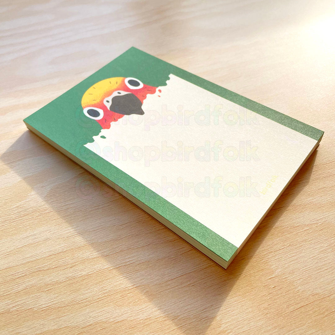 Sun Conure Notepad