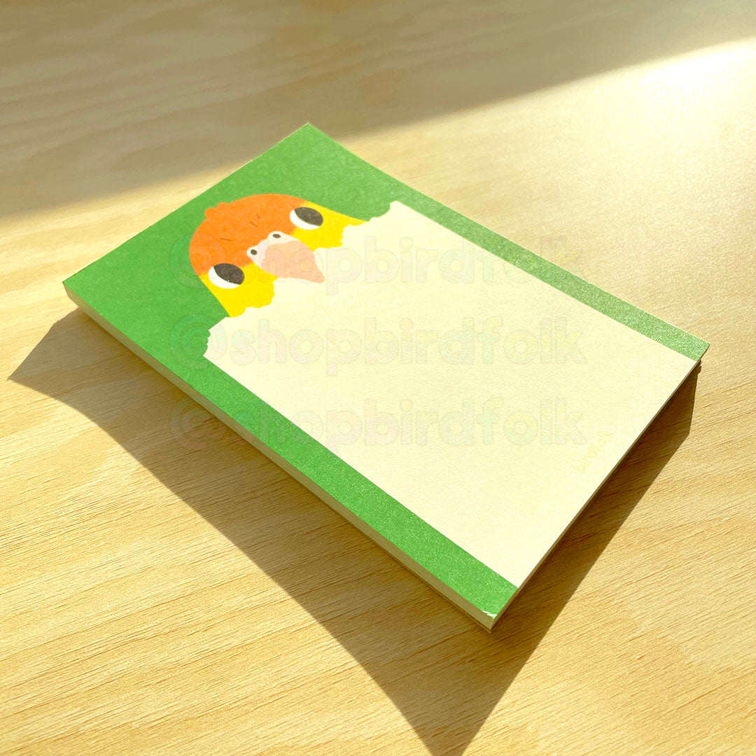 White-bellied Caique Notepad