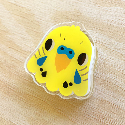 Budgie Acrylic Clip