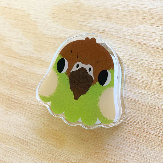 Green-cheek Acrylic Clip