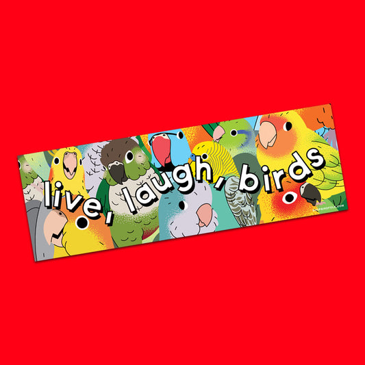 Live, Laugh, Birds Bumper Sticker