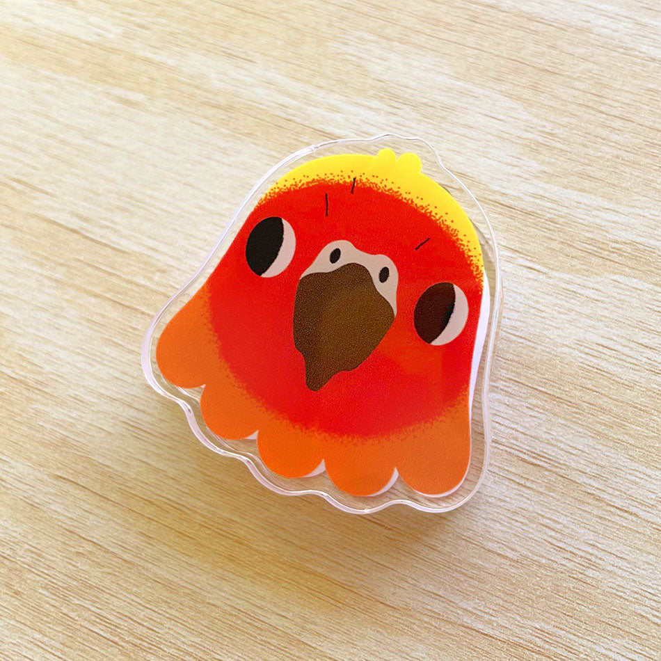 Sun Conure Acrylic Clip