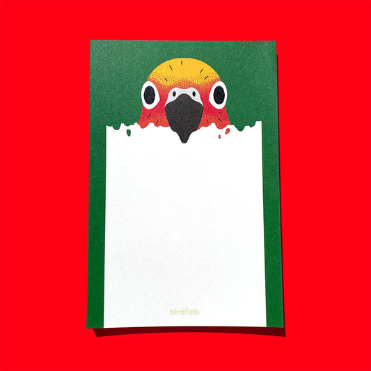 Sun Conure Notepad